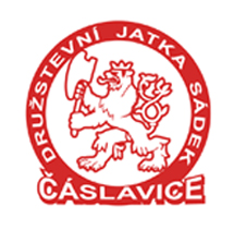 Primary Raster logo